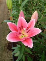 [4330 Mateo VZ No102.JPG]